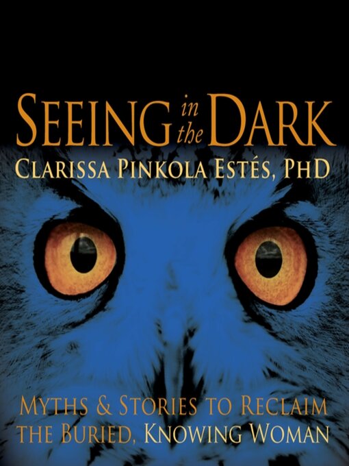 Cover image for Seeing in the Dark